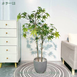 lHϗtA tFCNO[ _ ItBX X  [̑p CeA  sv ͂Ȃ A b炸 z[fR[V p  tFCN