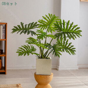 { tFCNO[ 傫 ^ lHϗtA ډB ͗lւ  CeA rO  ItBX G  X GgX c ItBX ze 