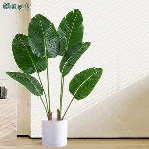 lHϗtA tFCNO[ ƒ 悯 oRj[   c { Iȑ z̃MtgɍœK ꂢɂ₷ gsJAt st tFCNc[ 