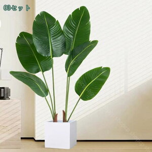 1000~OFFN[| lHϗtA tFCNO[ ƒ 悯 oRj[   c { Iȑ z̃MtgɍœK ꂢɂ₷ gsJAt st 