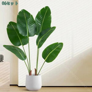 2000~OFFN[| lHϗtA tFCNO[ ƒ 悯 oRj[   c { Iȑ z̃MtgɍœK ꂢɂ₷ gsJAt st 