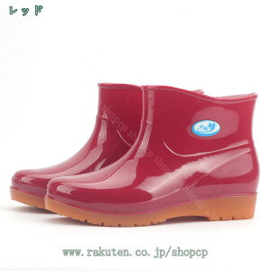 300~OFFN[| CV[Y fB[X Sh Cu[c 킢 hV[Y V[g  JC ̎q wlC K ~ Jp C r  ~J΍ o[u