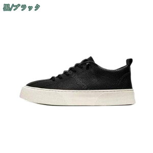 800~OFFN[| Xj[J[ ʋ X|[cV[Y jO Ռz 傫TCY ₷ XP[g{[hV[Y fB[X Y ^C [Jbg ubN JWAV