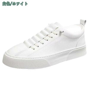 300~OFFN[| Xj[J[ ʋ X|[cV[Y jO Ռz 傫TCY ₷ XP[g{[hV[Y fB[X Y ^C [Jbg ubN JWAV