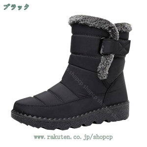 1650~OFFN[| Xm[u[c fB[X xN  hC ~C N ~pu[c y hu[c h V[gu[c JWA C ȌC ʋΒʊw ϋv h Ή J E