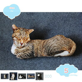 500円OFFクーポン 抱き枕 猫 ネコ ネコぬいぐるみ 猫抱き枕 かわいい スーパーソフト 洗える ねこ縫い包み リアル抱き枕 かわいい リアル 変形しにくい 大 柔らかく 店飾り ぬいぐるみ ふわふわ 肌触り 誕生日 店飾り物 プレゼント用 大 shopcp