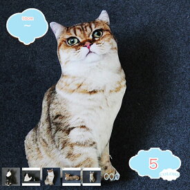 1000円OFFクーポン 猫抱き枕 リアル抱き枕 特大 ぬいぐるみ 猫 ネコ ねこ縫い包み 抱き枕 ネコぬいぐるみ 洗える 縫いぐるみ かわいい かわいい スーパーソフト リアル 店飾り 誕生日 置き型 記念日 お誕生日 店飾り物 プレゼント用 置き型 shopcp