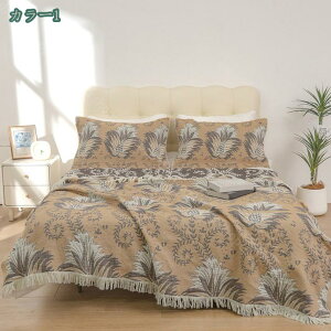 K[[Pbg VO  100 Rbg Ċ|zc ĕzc uPbg I[V[Y K[[ Pbg tWt  k \t@[Jo[ ʋC z RۖhL I[V[