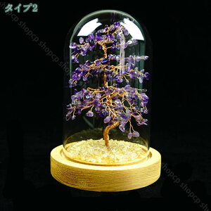 1000~OFFN[|   Vg  ^ ^ CeA IuWF u ^C VR  VR p[Xg[ ̂Ȃ ^Abv ItBX Vzj VN 蕨 Mt