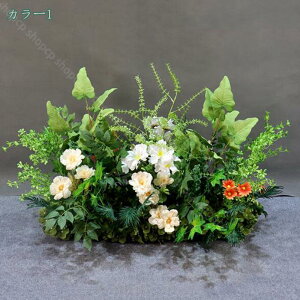 tFCNO[  lHϗtA t[AWg {  Iȑ  R͋̕C  i| CeA i`͋C ډB N₩ DIY i