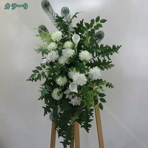 2000~OFFN[|  VNt[  N₩  Ԃ̓ t[KCh  Ԃ̗ VNt[ t[AWg ̓ ̑ p[eB[ G