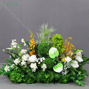 2000~OFFN[|  VNt[ ϗtA { Ԃ̌i i` A lHϗtA j ItBX rO CeA  Iȑ  傫  