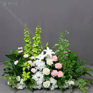  VNt[ ϗtA { Ԃ̌i i` A lHϗtA j ItBX rO CeA  Iȑ  傫  킢 tFC