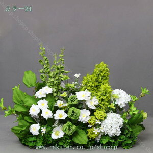  VNt[ ϗtA { Ԃ̌i i` A lHϗtA j ItBX rO CeA  Iȑ  傫  킢 tFC