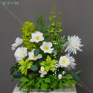 2000~OFFN[|  VNt[ tFCNO[ lHϗtA   񂹐A CeA { ȒP sv Q쏜sv  L  X ItBX Mt