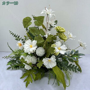 1000~OFFN[| VNt[  lHϗtA t[AWg {  Iȑ  R͋̕C  i| CeA i`͋C ډB N