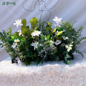 VNt[  lHϗtA t[AWg {  Iȑ  R͋̕C  i| CeA i`͋C ډB N₩ DIY t