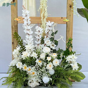 VNt[  lHϗtA t[AWg {  Iȑ  R͋̕C  i| CeA i`͋C ډB N₩ DIY t