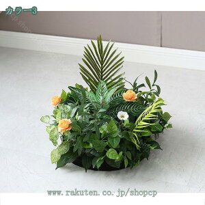 1000~OFFN[| tFCNO[ O ^ lHϗtA ItBX  CeA  O  X ~͐A ϗtA lHϗtA i` lHϗtA RŃA  