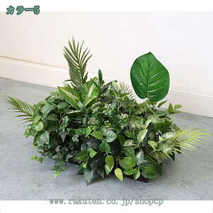 tFCNO[ O lHϗtA ^  CeA rO ɒuA tFCNO[    i`  zj v[g sv 