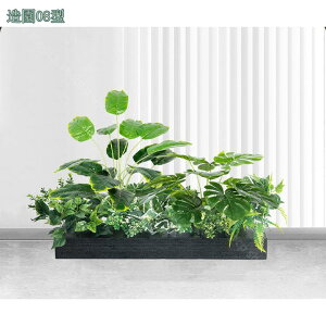 lHϗtA { AȊO  F t[AWg ItBX z[ VbsO[ X  V[[  DIY I VNt