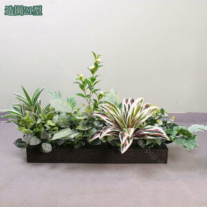 2000~OFFN[| lHϗtA tFCNO[  ΂̐ǍiσV~[V p[eBV I[ig̑gݍ킹  ItBX O t[{bNX tFCNv