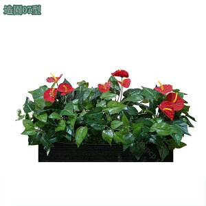 tFCNO[ lHϗtA ^  CeA sv rO ɒuA tFCNO[  CeA ^ϗtA  i` A Ύ 