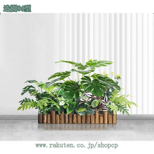 1000~OFFN[| lHϗtA ^ tFCNO[ CeA X Ƃ̒ɒu  bȂ sv z[  Lb` ItBX tFCNO[ G鎞ɐ^Ȋ