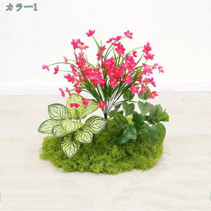 1000~OFFN[| tFCNO[ O lHϗtA ^  CeA rO ɒuA tFCNO[    i`  zj v[