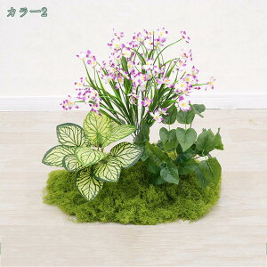 1000~OFFN[| tFCNO[ O lHϗtA ^  CeA rO ɒuA tFCNO[    i`  zj v[