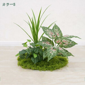  tFCNO[ O lHϗtA { tFCNO[  Iȑ R͋̕C fR[V i| i` ȒP ׍HJ A{gt 