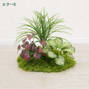 777~OFFN[| tFCNO[ O lHϗtA ^  CeA rO ɒuA tFCNO[    i`  zj v[g