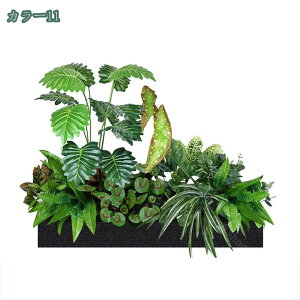 2000~OFFN[| tFCNO[  t[{bNX lHϗtA t[AWg { Iȑ  R͋̕C  i| CeA i`