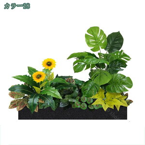 2000~OFFN[| tFCNO[  t[{bNX lHϗtA t[AWg { Iȑ  R͋̕C  i| CeA i`