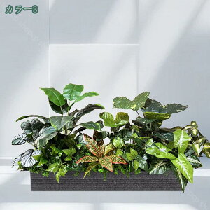 tFCNO[ ^ ϗtA tFCNc[ A lH lH i` A V lHϗtA j ItBX rO CeA A 傫  킢 tFC