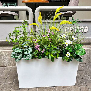 2000~OFFN[|  VNt[ tFCNO[ lHϗtA   񂹐A CeA ϗtA tFCNO[ ȒP sv Q쏜sv  L  X 