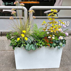  VNt[ tFCNO[ lHϗtA   񂹐A CeA ϗtA tFCNO[ ȒP sv Q쏜sv  L  X ItBX Mtg 