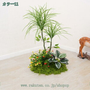 1000~OFFN[| ^ tFCNO[ ϗA i` IV ^MѐA  { Iȑ  R͋̕C  ItBX tFCNO[G鎞ɐ^