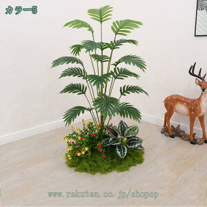 ^ tFCNO[ ϗA i` IV ^MѐA  { Iȑ  R͋̕C  ItBX tFCNO[G鎞ɐ^Ȋ ׍HJ t