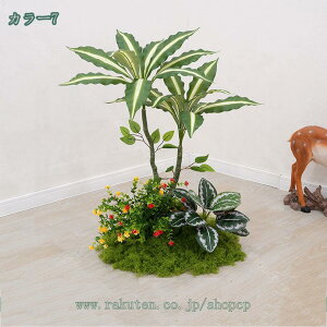 1000~OFFN[| ^ tFCNO[ ϗA i` IV ^MѐA  { Iȑ  R͋̕C  ItBX tFCNO[G鎞ɐ^