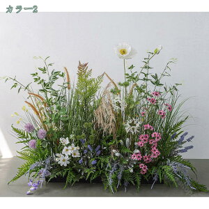 2000~OFFN[| lHϗtA {  ^ tFCNO[ CeA ƒ ItBXp lHA lHϗtA t[AWg tFCNA e[up[e[