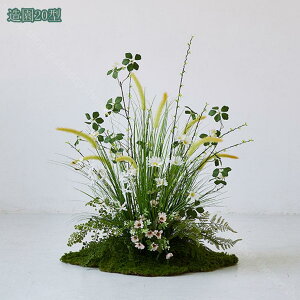  VNt[ lHϗtA t[AWg { tFCNO[  Iȑ  R͋̕C  i| CeA i`͋C ډB N