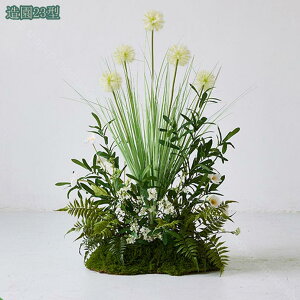  VNt[ lHϗtA t[AWg { tFCNO[  Iȑ  R͋̕C  i| CeA i`͋C ډB N