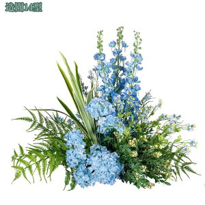  Op tFCNt[ VNt[ AȊO   Ȏp }`J[ p[v ϗtA CeA  fR[V ͂Ȃ  { a 