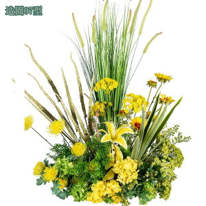  lHϗtA IVW[ A[gt[ I tFCNt[  ͂Ȃ bsv  ʐ^Be j JXj a   X܏  z[ 