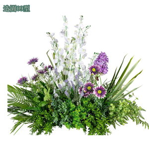 VNt[ lHϗtA t[AWg { tFCNO[  Iȑ R͋̕C Iȑ  i| CeA i`͋C ډB