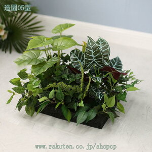 2000~OFFN[|  lHϗtA ^MѐA tFCNO[ ϗA lHϗt CeA ItBX   X  ɒuA ϗt l AJV Xe