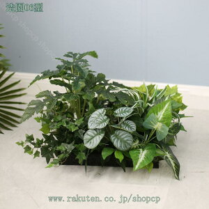 2000~OFFN[|  lHϗtA ^MѐA tFCNO[ ϗA lHϗt CeA ItBX   X  ɒuA ϗt l AJV Xe