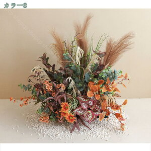 2000~OFFN[| t[AWg  tFCNO[ lHϗtA AȊO i`  IV Iȑ  i| CeA rO  O X 