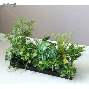 2000~OFFN[|  lHϗtA ^ MѐA CeA ItBX   X  ɒuA ϗt l AJV Xe Ɋy  ^ lHϗtA i